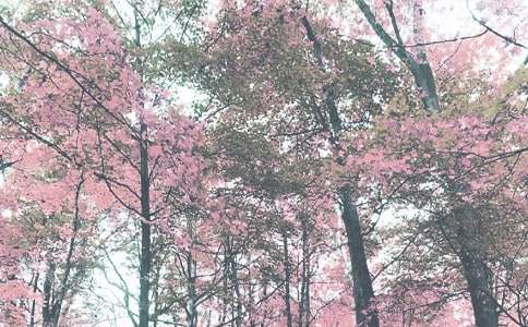 秋季學(xué)期總務(wù)處工作總結(jié)