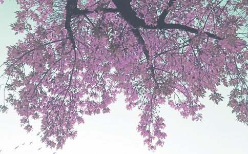 �＾��������Ӌ��