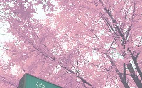 2020年秋季學(xué)期園務(wù)工作計(jì)劃