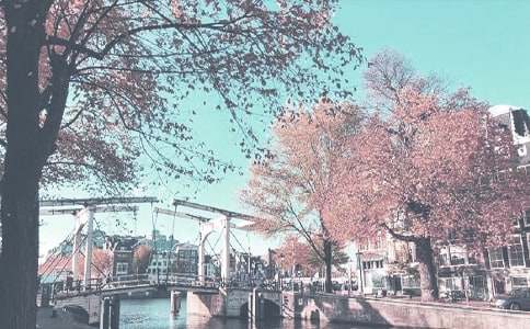 С���＾�W(xu��)�ڹ���Ӌ��