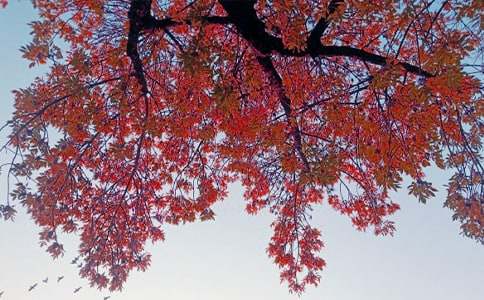 ���յ���Ո����