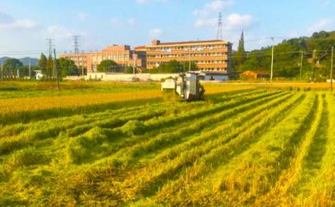 ���չ������Y