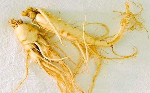 個人參保申請書范文