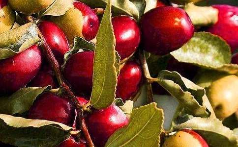 ˮ����ُ(g��u)��ͬ