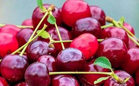 水果收購(gòu)合同13篇