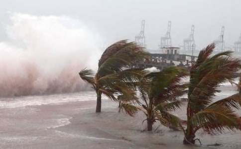 防臺(tái)風(fēng)工作總結(jié)14篇