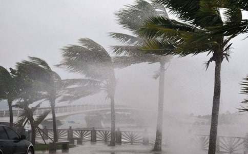 ����_�L(f��ng)�������Y(ji��)