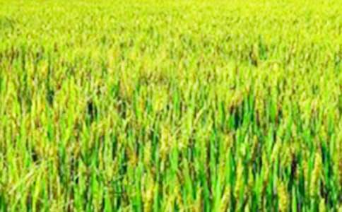 ί����Ұ����Ѳ�鱣�o(h��)��ͬ