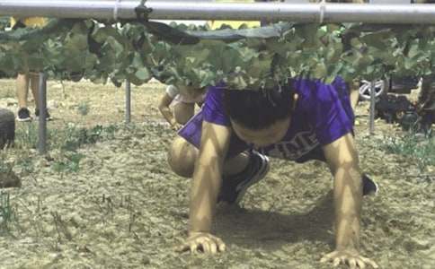 ��������I�������]��6ƪ[ͨ��]