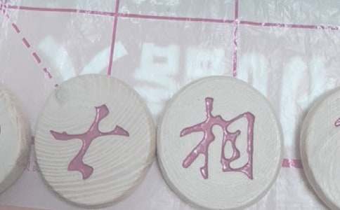 小學(xué)象棋工作計(jì)劃