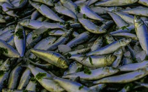 ��ͨ�á��~��ُ(g��u)�N��ͬ����2ƪ