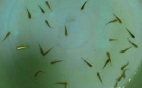 ���~��ُ�N��ͬ����