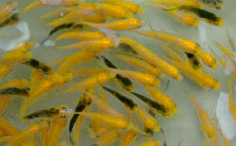 ُ�I�~���ͬ