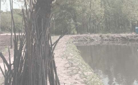 �~�������ͬ