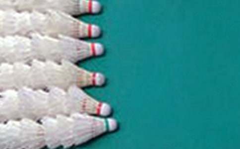 員工羽毛球比賽策劃書