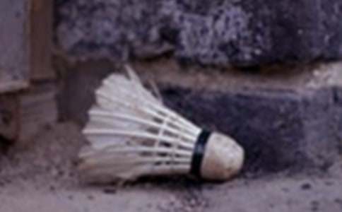 ��ë��f(xi��)������Ӌ��9ƪ