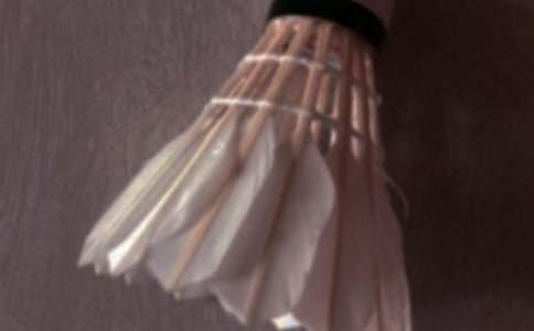 羽毛球場地租賃合同