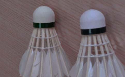 羽毛球比賽策劃書(shū)