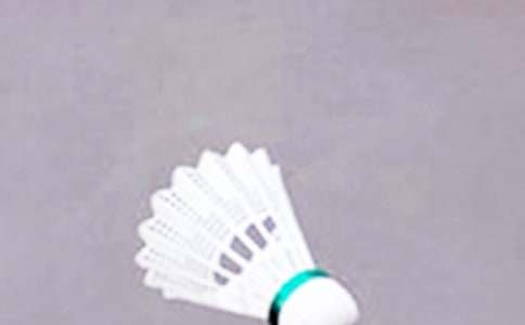 羽毛球比賽策劃方案