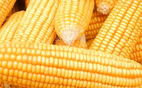 ُ�N����о��ͬ