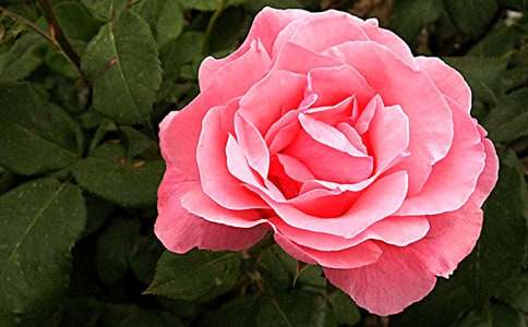 月季度總工作計(jì)劃