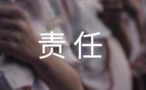 質(zhì)量終身責(zé)任制承諾書精選15篇