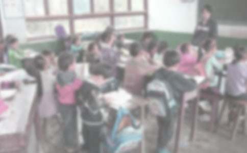 關(guān)于支教申請書(精選13篇)