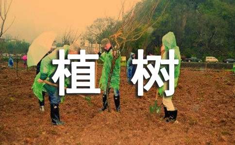 ֲ��(sh��)���ֽ��h��(sh��)9ƪ