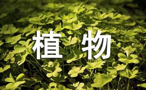 綠色植物保護建議書