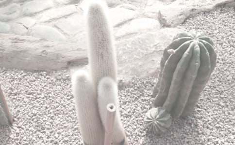 ֲ��@���^����(x��)���