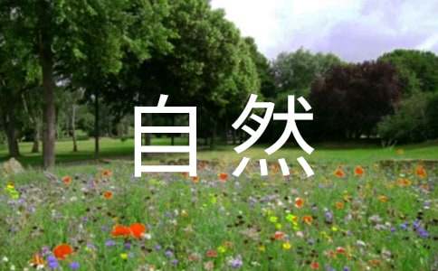 自然人保證合同