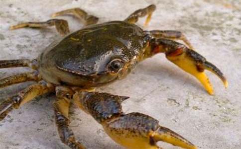 �з��ُ��ͬ����