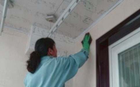 ��������(w��)���Z��15ƪ