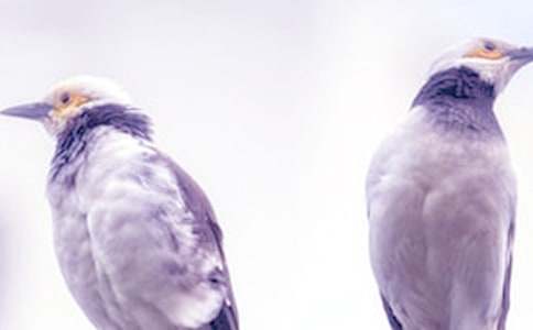 ���ܽo���ŵęzӑ�������x5ƪ��