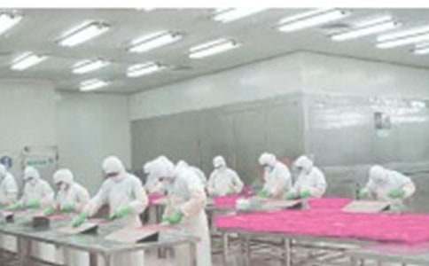 ܇�g��ȫ���Z�����\15ƪ