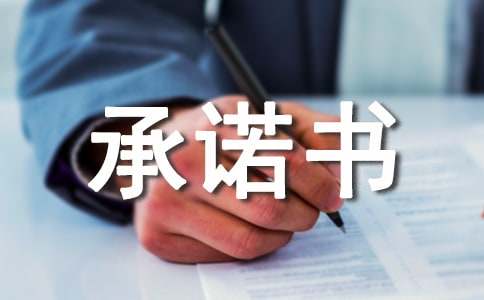 企業(yè)承諾書錦集十篇