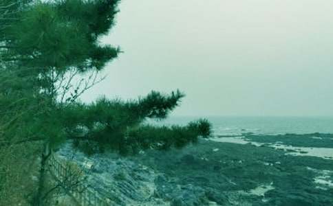 �����L�Єӹ������Y(ji��)11ƪ