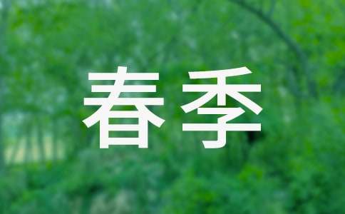 【精品】春季工作計(jì)劃模板合集六篇