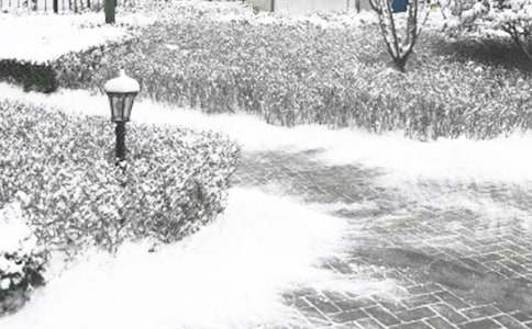 冬季整訓(xùn)工作方案(通用10篇)