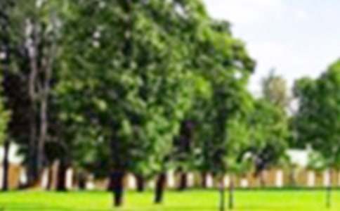 ���|(zh��)���@��(sh��)��(x��)��(b��o)��