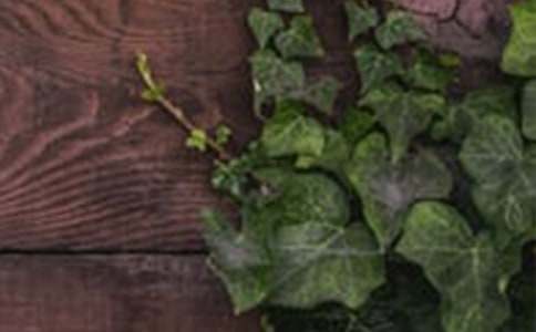 �����C�����zӰչ�߄���