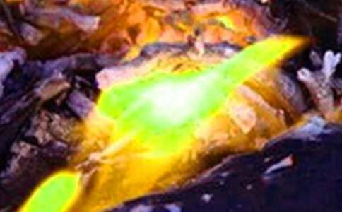 С�^(q��)��������ķ��ع����������ģ����x9ƪ��