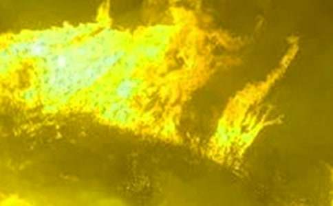 С�W(xu��)���������(z��i)���ع�������