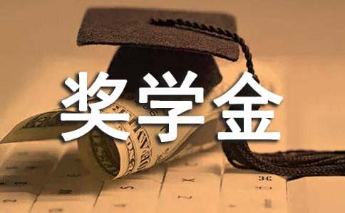 大一獎學(xué)金自我鑒定