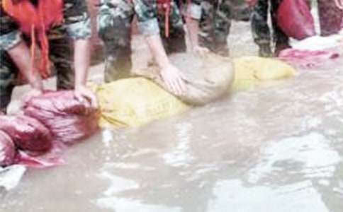 ���P����Ȟđ�(zh��n)ʿ�ĸ��x��