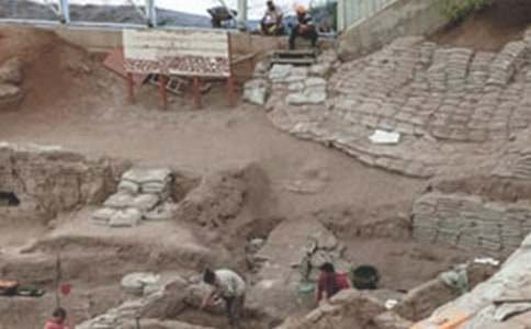 �V���Ҍ�ο��(w��n)��