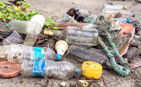 減少白色垃圾的建議書5篇