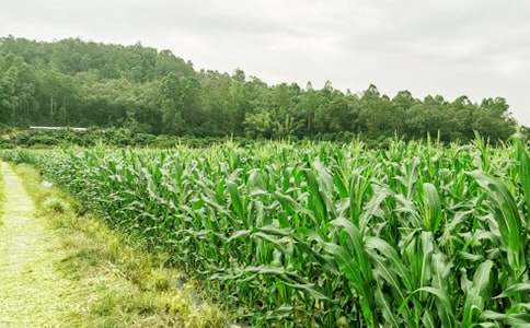 農(nóng)家樂(lè)項(xiàng)目建議書