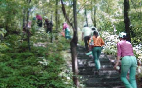 爬山策劃書15篇