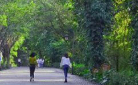 ���ᣩ��ɽ���(d��ng)�߄���(sh��)